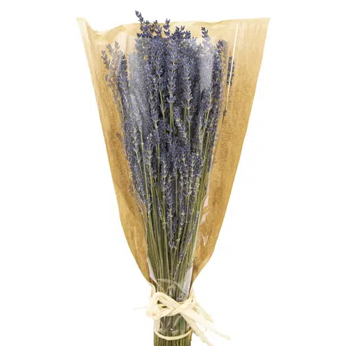 dried-lavender-bouquet
