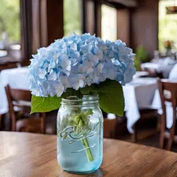 Alternative view of Blue Hydrangea Flowers 30 Bloom Weekly Subscription