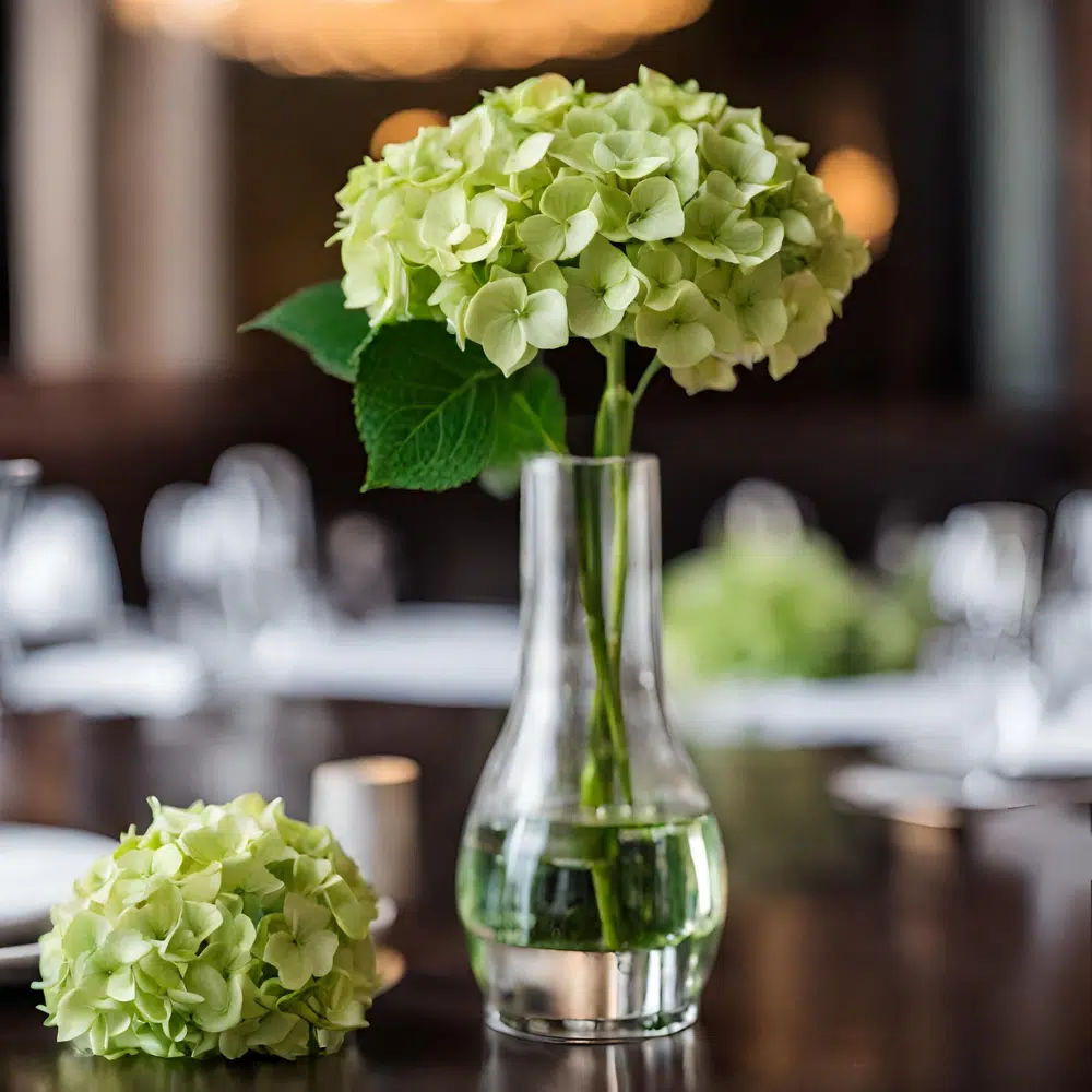 Mini Green Hydrangea, 50 Bloom Weekly Subscription - Image 2