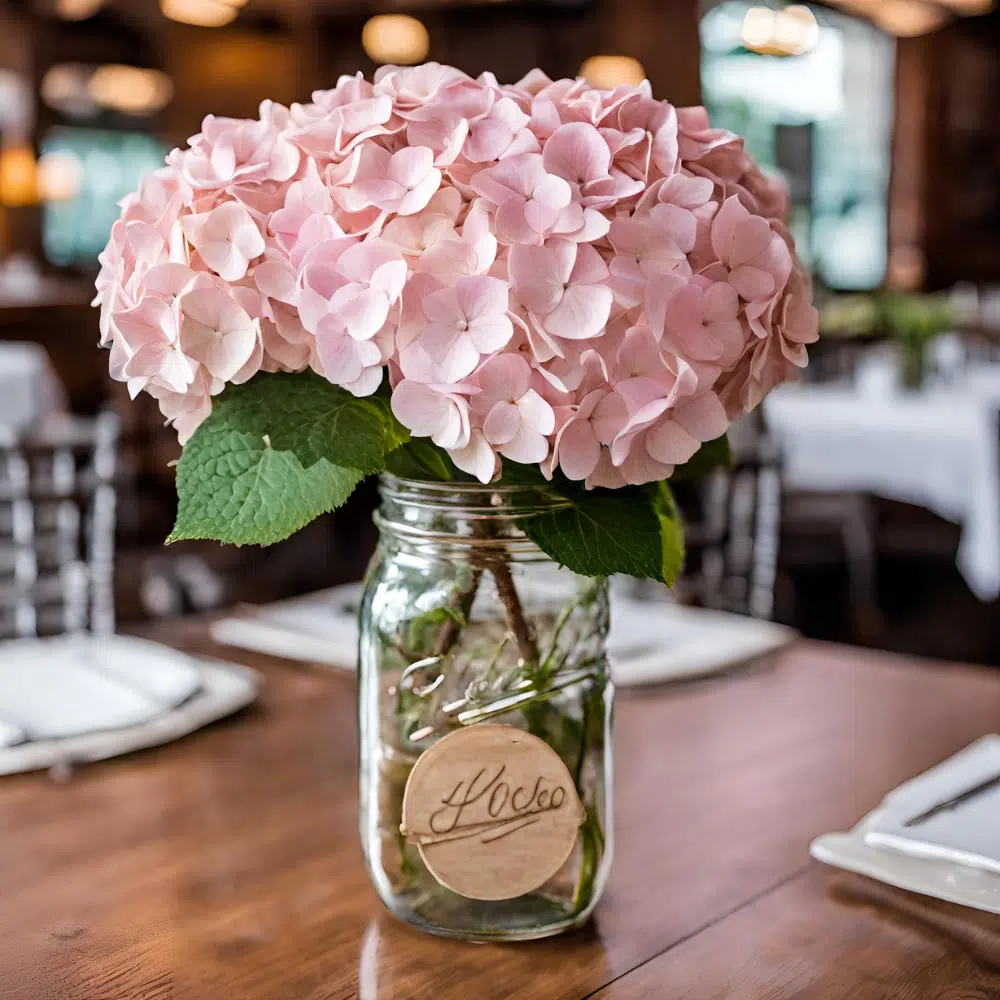 natural-pink-hydrangea-flowers