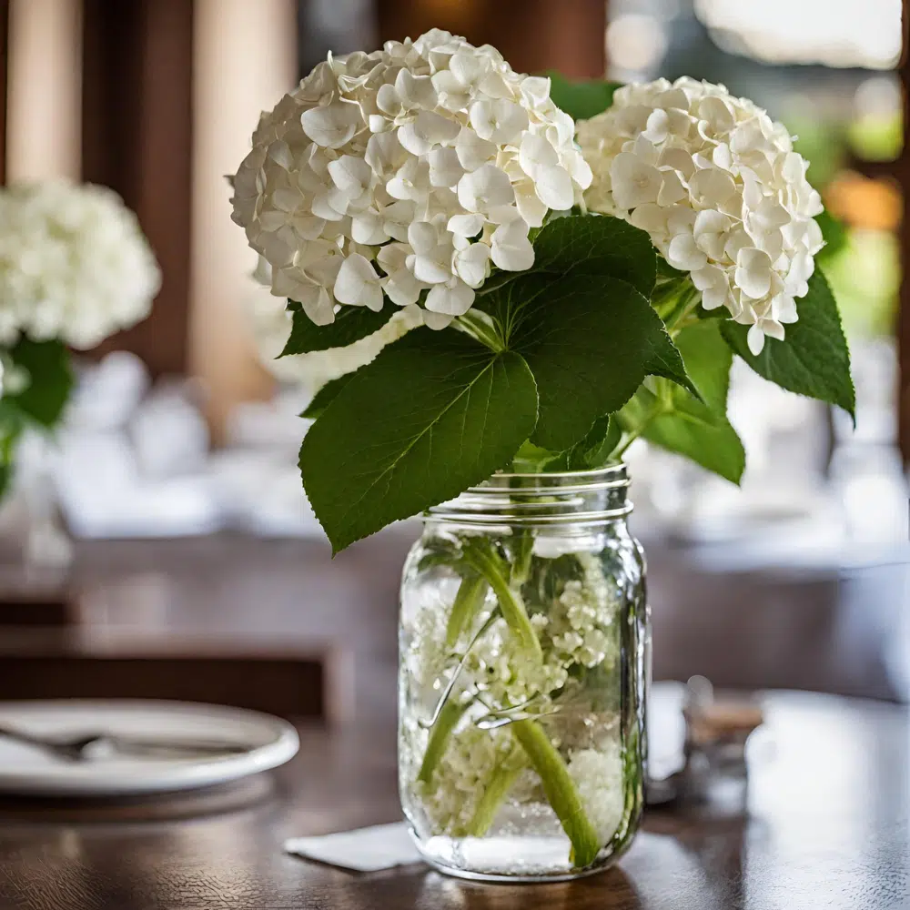 white-hydrangea-flowers-restaurant-table